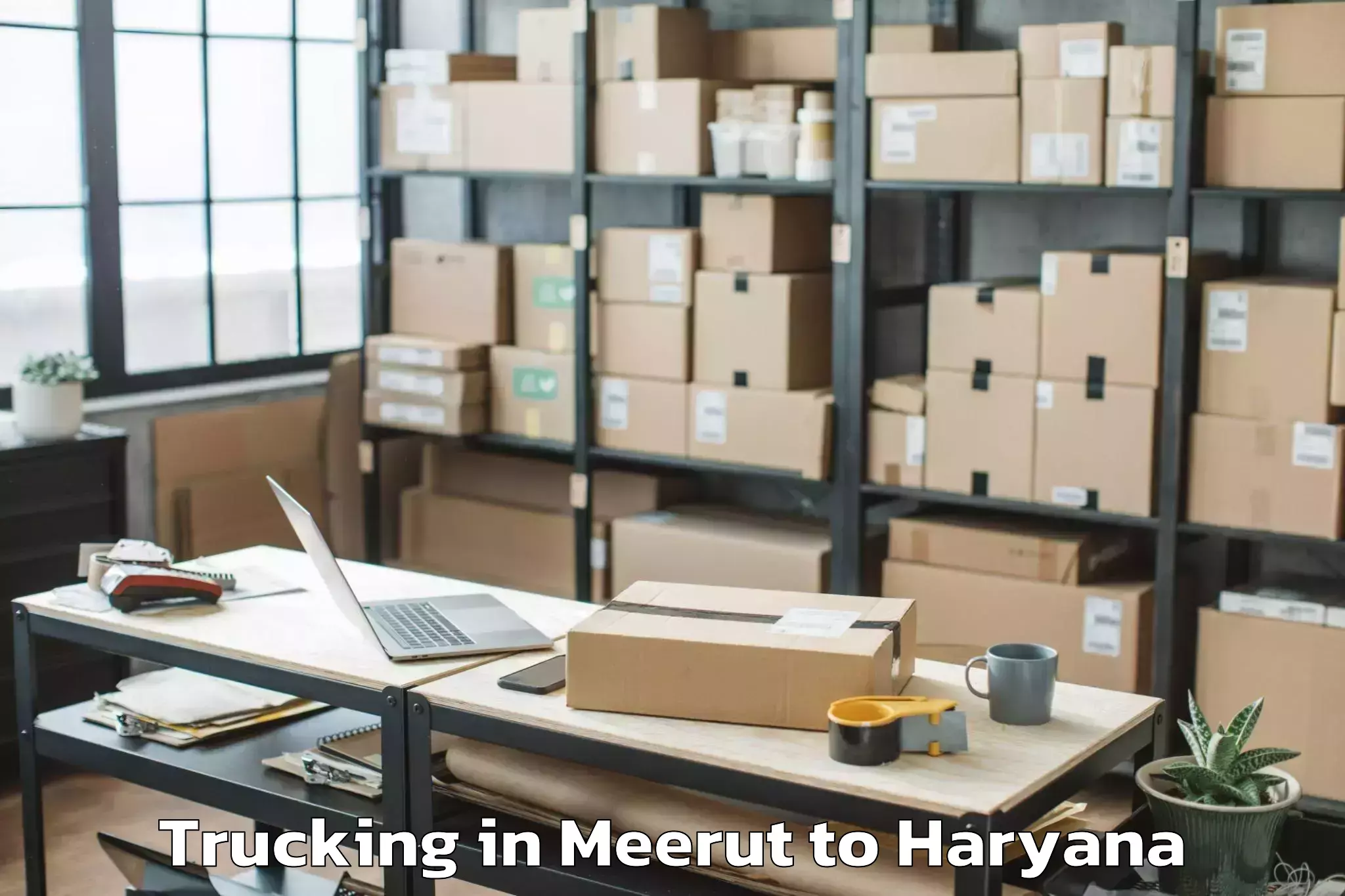 Book Meerut to Hansi Trucking Online